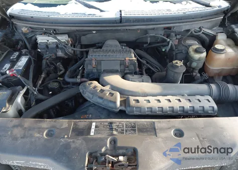 2005 Ford F-150 Fx4/Lariat/Xl/Xlt из США, поврежденный, VIN 1FTPX14525NB79464